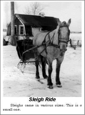 Text Box:  Sleigh Ride
Sleighs came in various sizes. This is a small one.
